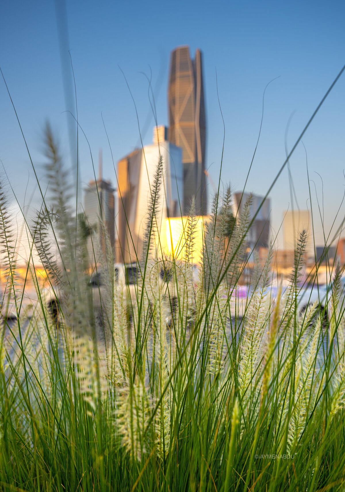 King Abdullah Financial District, Riyadh — where nature meets technology